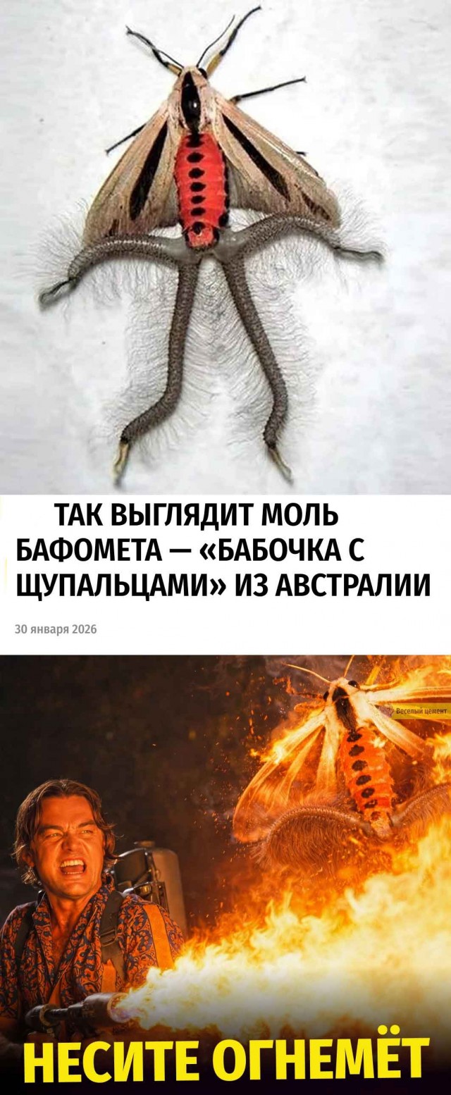 Веселые картинки в понедельник