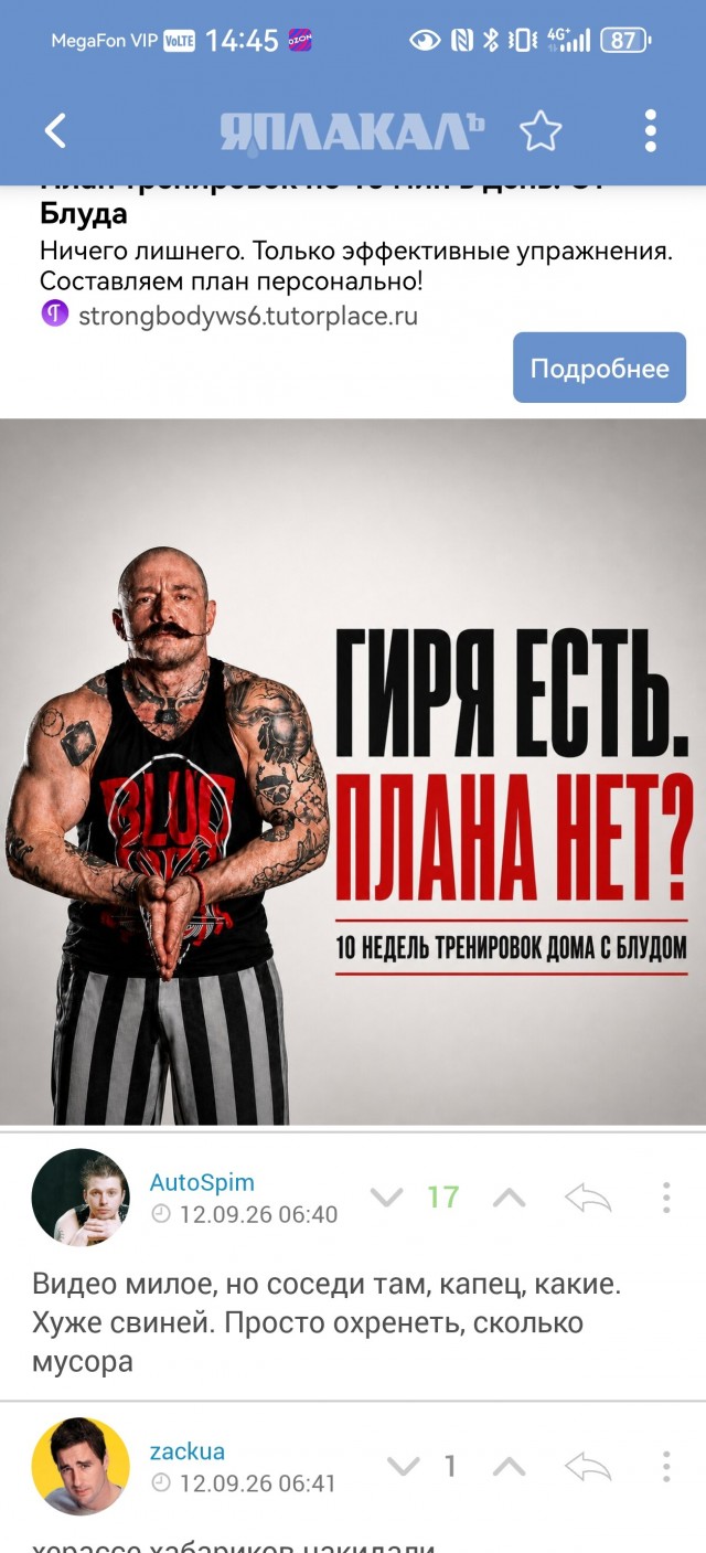 Кошачья благодарность без слов