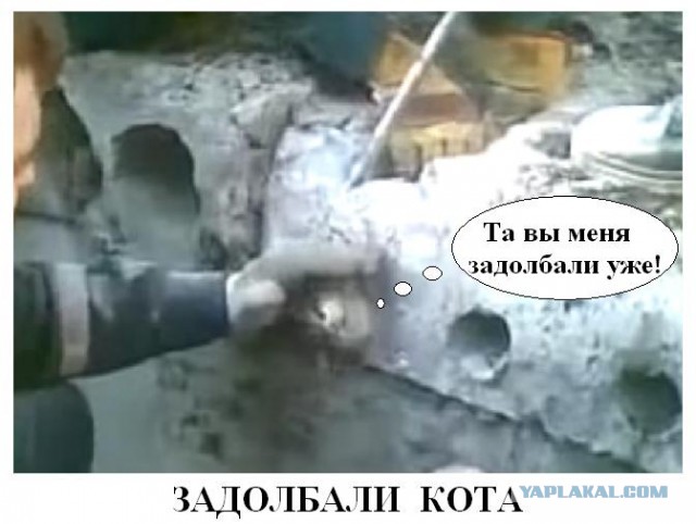 Любопытство до добра не доведет