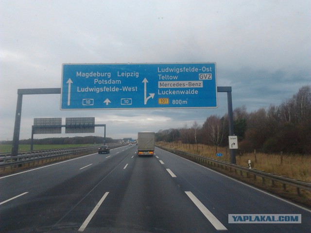 Где яблоки растут!