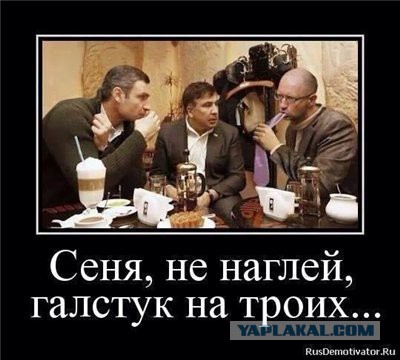 Украинске власти чуть не сбежали в Польшу