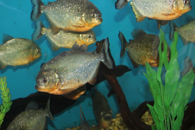 Отчёт о поездке в Крым 12.07 - 29.07