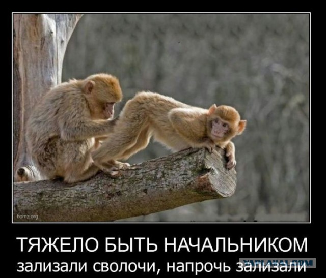 Ты узнаешь его из тысячи...