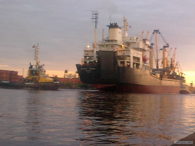 Несколько дней из жизни моряка.