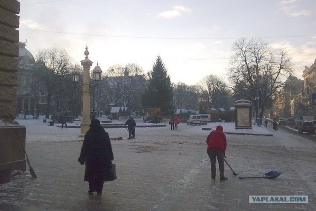 Уродливая елка.