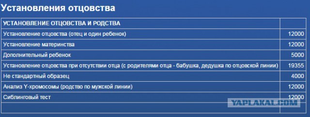 Порочное зачатие