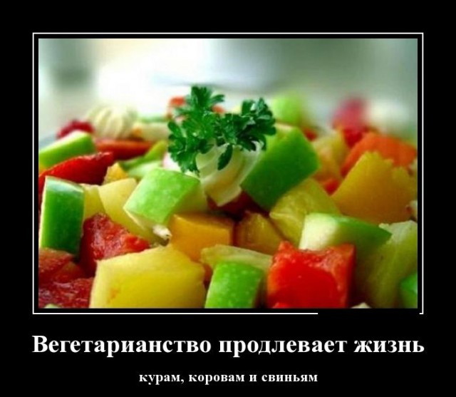 Немного юмора, заимствованного из сети
