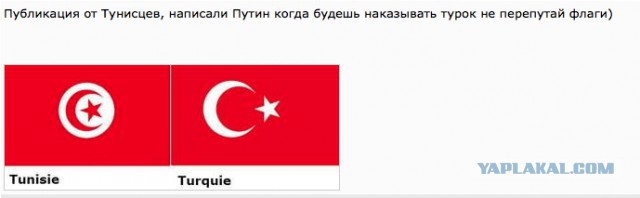 Подборка смешных и забавных фото