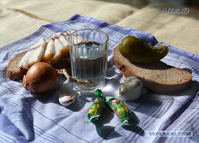Семь продуктов, которыми нельзя закусывать