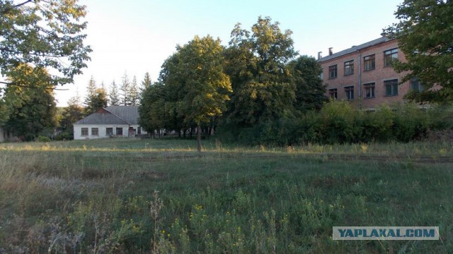Возможно США атакует нас гриппом изнутри