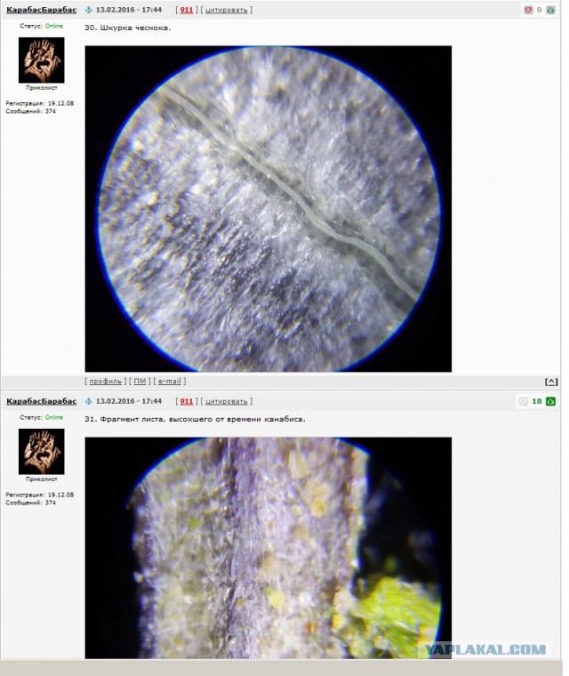 Мир в миллиметре