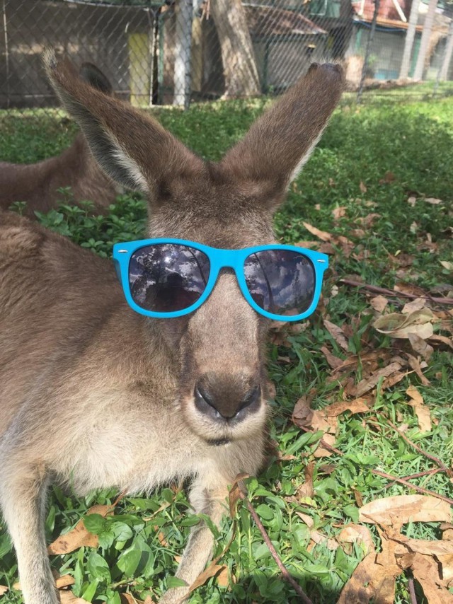 Подборка картинок 02.03.16