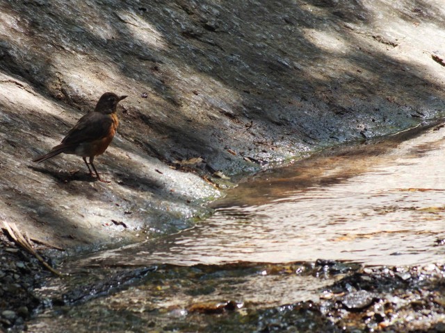 Как я побывал в США. Часть пятая. Заключительная