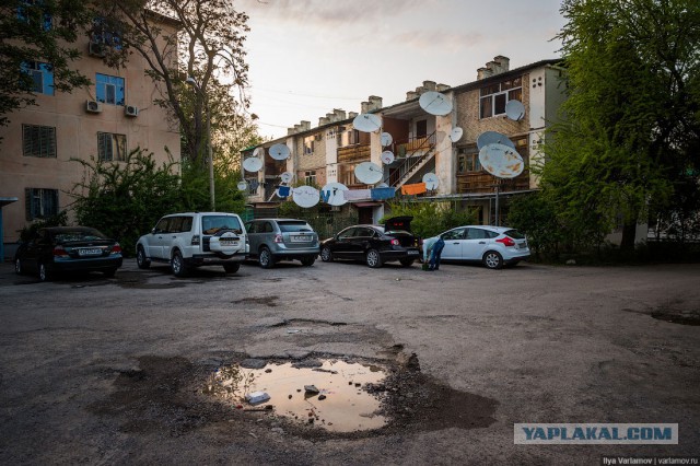 Культ личности в Туркменистане