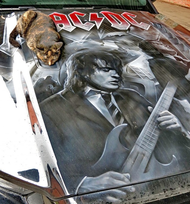 Подборка интересных и веселых картинок