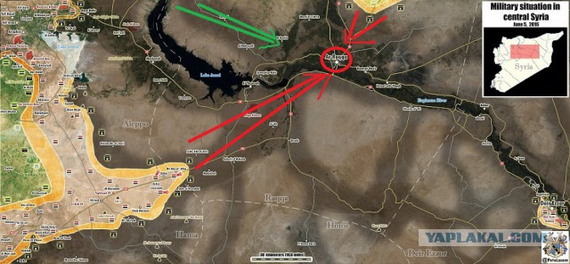 Глазами очевидца: Сирийская армия наступает на Ракку