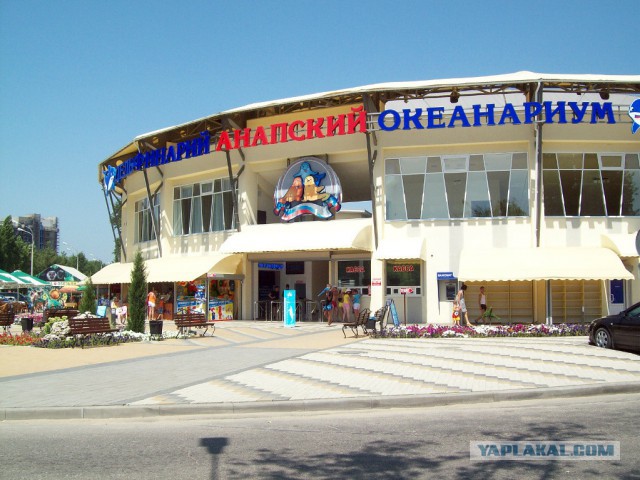 В отпуск на юг России - Анапа и Геленджик