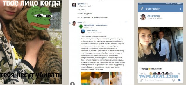 Живодерки из Хабаровска