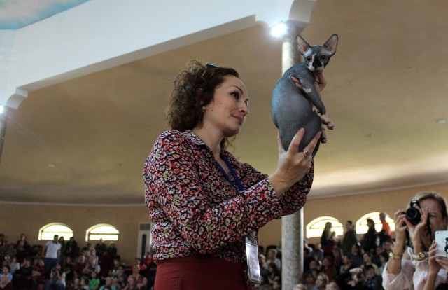 «Осенний Кошкент-2016»