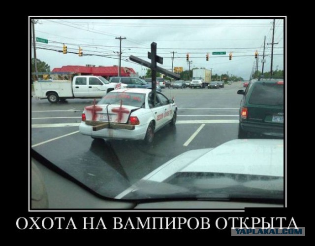 Подборка интересных и веселых картинок