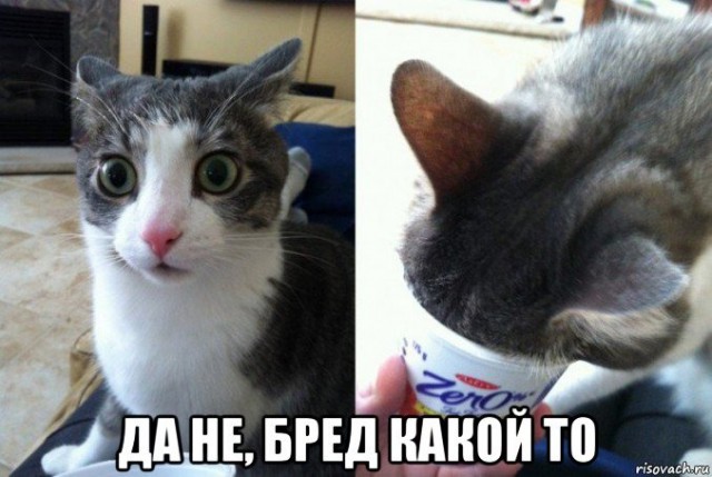 " Забей" кота по рукава. Посвятить его в якудзы.
