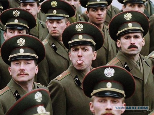 21 фотография, сделанная в нужный момент