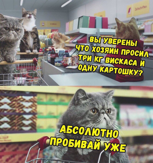 Пора немного тупануть!