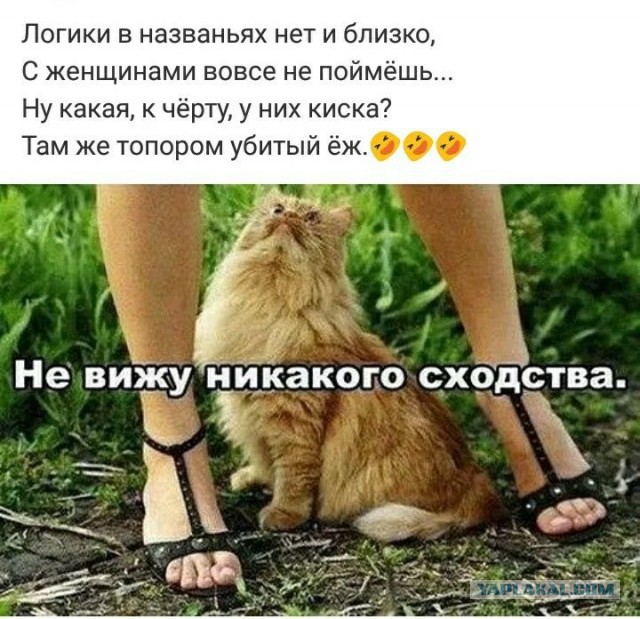 Интересно было бы почитать мысли мужика