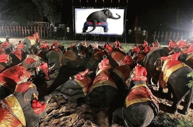 Индийское "кино в машине"