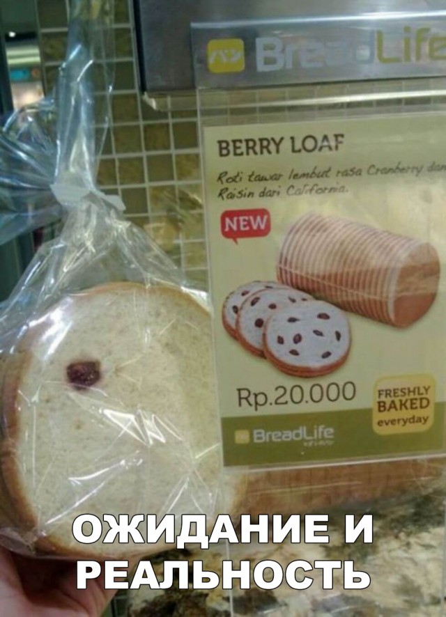 Прикольные картинки обо всём