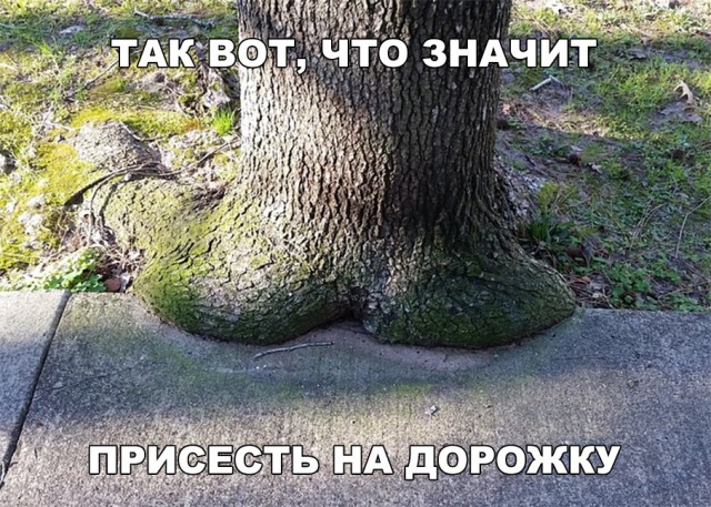 Нестандартный юмор