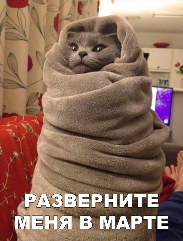 Нестандартный юмор