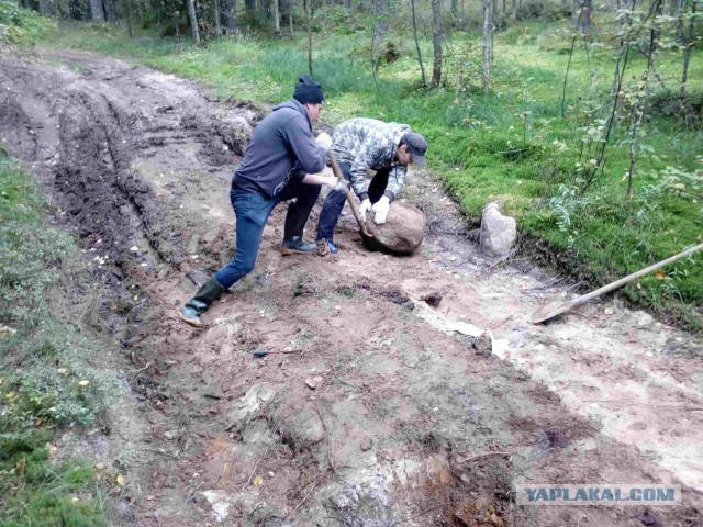 Вепсская тайга летом или Старый Бор