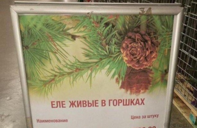 Картинки с надписями