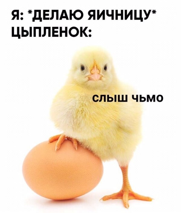 Картинки ниАчем