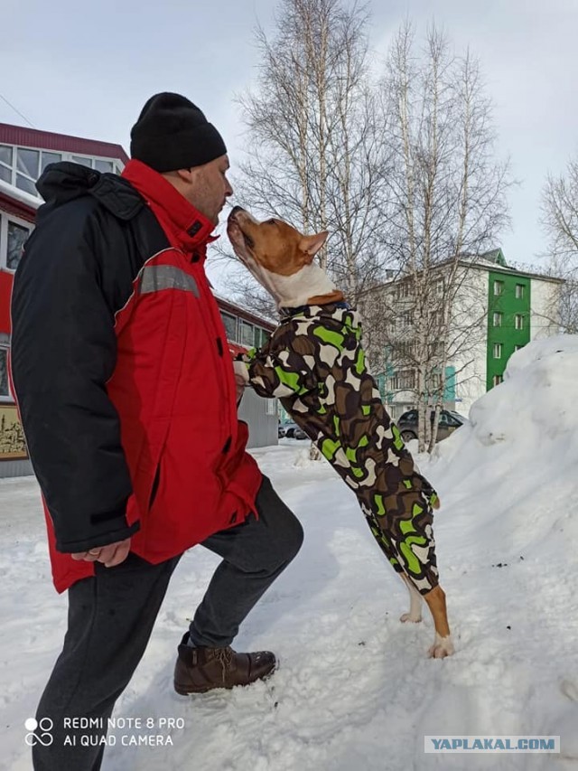 Собакочетверг. Нам сегодня 7 лет!