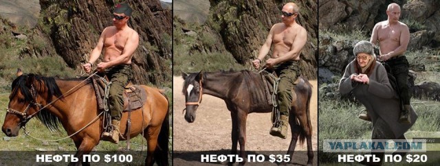 «Плевать на эти санкции»: Путин рассказал о санкционном противостоянии России и Запада