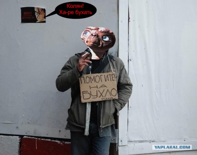 Помогите на бухло