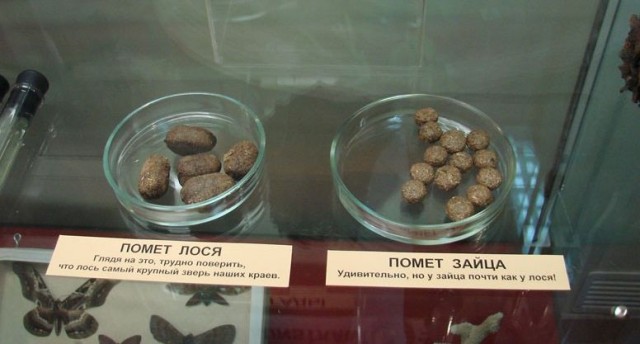 Удивительное рядом