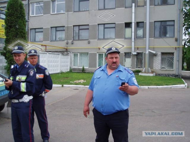 Фотожаба:На связи