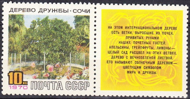 24 раза, когда люди столкнулись с настолько крутыми вещами, что просто не могли их не сфотографировать