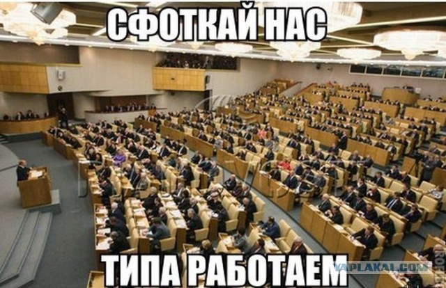 Новые безумные правила содержания пчёл