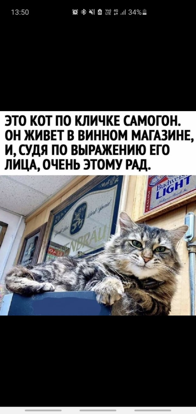Немного картинок с надписями и без - 20.01.21