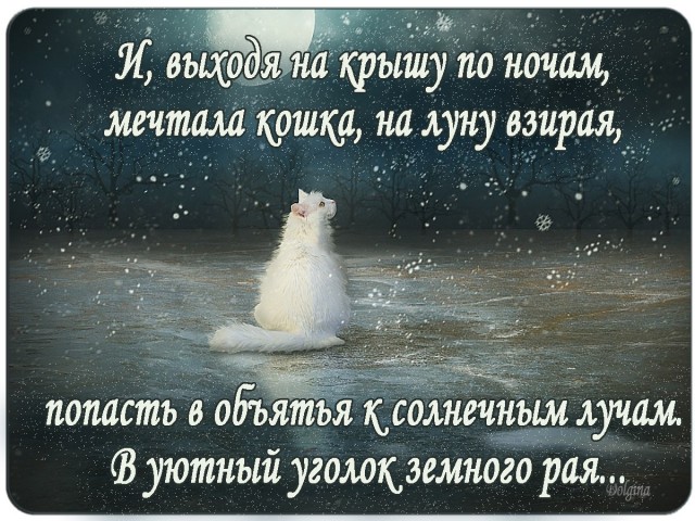 Подборка картинок 03.02.2021