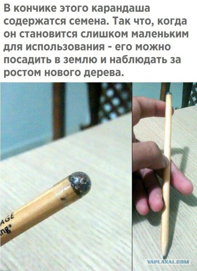 Свинегрет: картинки, надписи и прочее на 20.02.21 или №30
