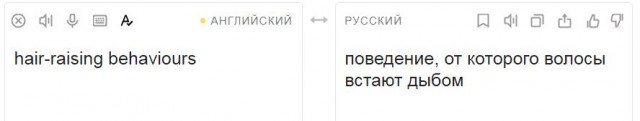 Японские исследователи обнаружили морских слизней, которые «отрубают» собственную голову, чтобы вырастить новое тело