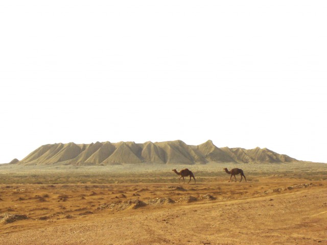 Красота пустыни
