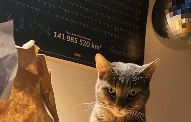 Несколько пикч ни о чём в понедельник