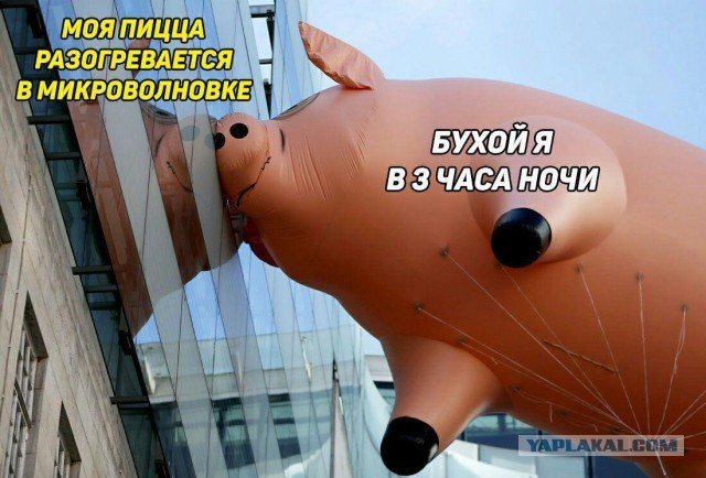 Разной степени баянности пикчи