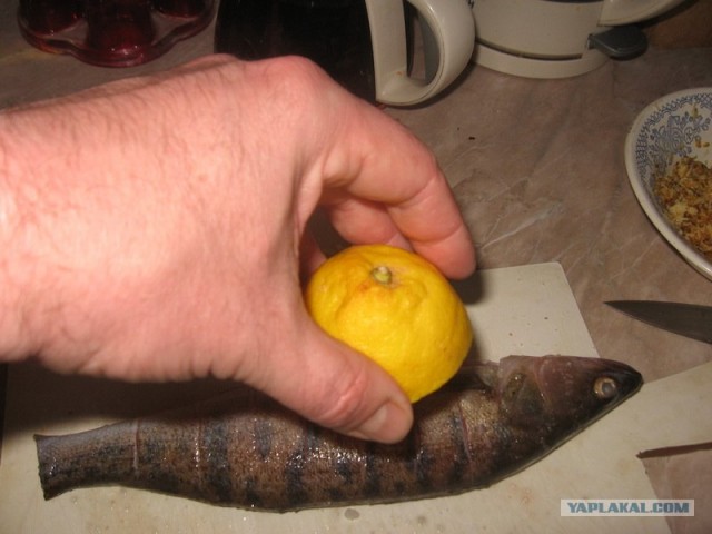 Судак запечёный